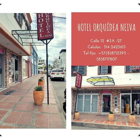 Hotel Orquidea Neiva 네이바 외부 사진