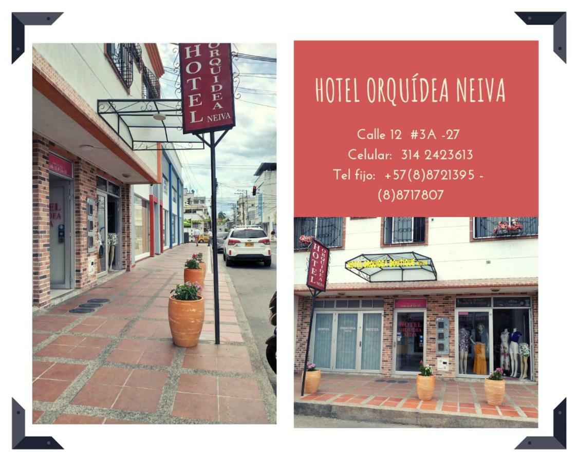 Hotel Orquidea Neiva 네이바 외부 사진